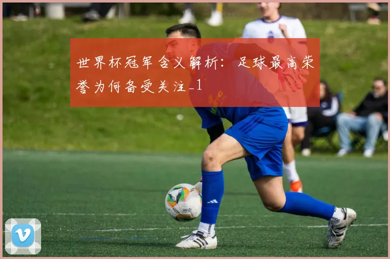 世界杯冠军含义解析:足球最高荣誉为何备受关注_1