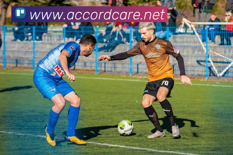 beat365最新网站平台生态图